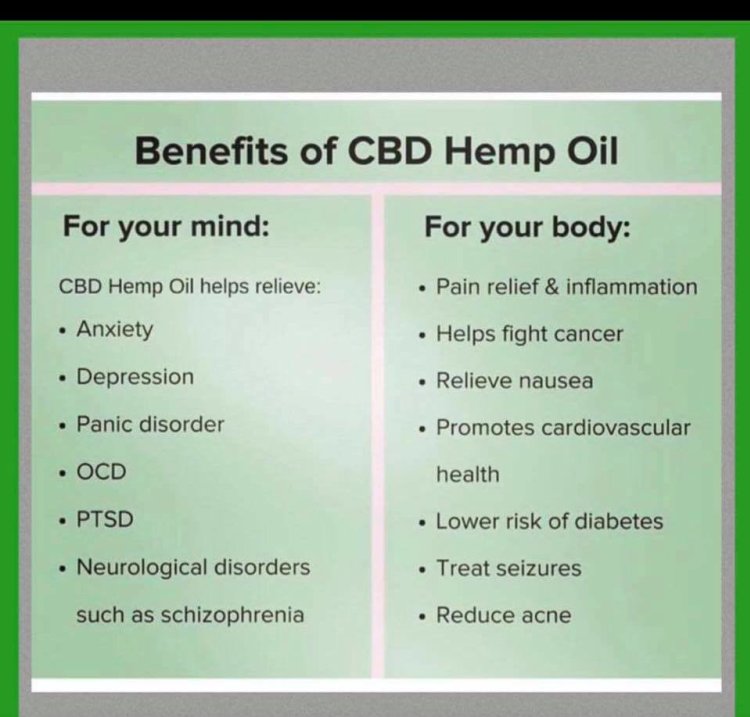 FloridMarijuana's tweet photo. https://t.co/hu5K9Zi44U