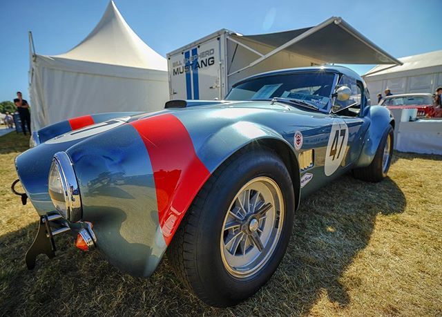 BooWiki's tweet photo. #billshepherd #billshepherdcobra #accobra #classiccar #goodwood #goodwoodfestivalofspeed #2018 https://t.co/Lw5fNz2Qt2 https://t.co/IDixPpyIrU