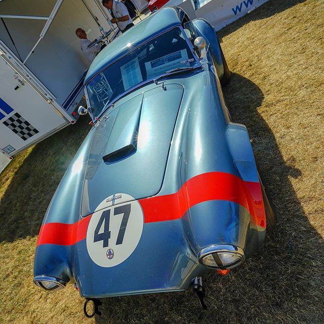 BooWiki's tweet photo. #billshepherd #billshepherdcobra #accobra #classiccar #goodwood #goodwoodfestivalofspeed #2018 https://t.co/VgPbUOQE60 https://t.co/Hot1URT85G