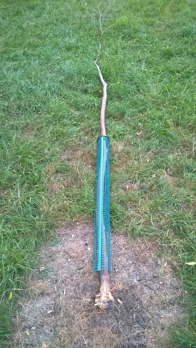 tvp_mk's tweet photo. #C3067 #MKSouthNHT @TheParksTrust
Saddens me to see wanton vandalism such as this,
whilst checking out an ASB Hotspot tonight on Monkston Park ๐ฎ
What makes someone think its acceptable behaviour?
Good to see CCTV has been installed at the location ๐ https://t.co/gl5QMoPMbZ