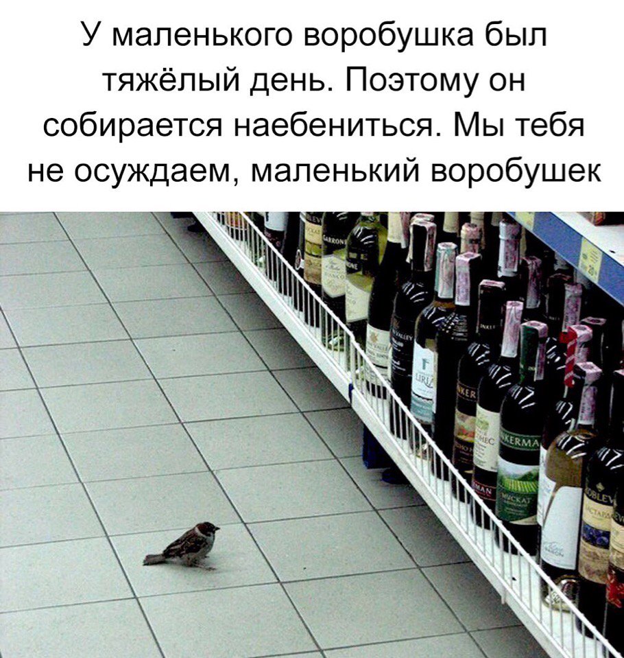 phritali's tweet photo. https://t.co/6XXEe5EprO