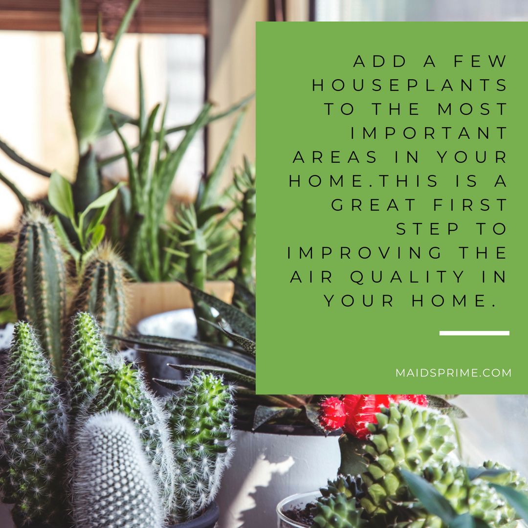 MaidsPrime's tweet photo. Clean the air in your home or office!

Did you know that NASA analyzed indoor houseplants in 1989 and that they found that each had a unique way to naturally cleanse the air of toxins?

#cleanair #cleanandsimple #clean #indoor #AirQuality #plants https://t.co/65Fcvh0BKi