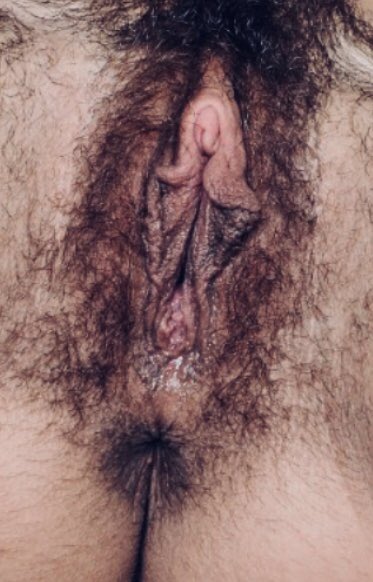 Jaymexxx_'s tweet image. 🔞 Got a trim 2 weeks ago and its growing back to a #bush 🤷🏻‍♀️ what’s going to be for next month? #hairycunt #Chaturbate #vagina #wetpussy #adult 🔞