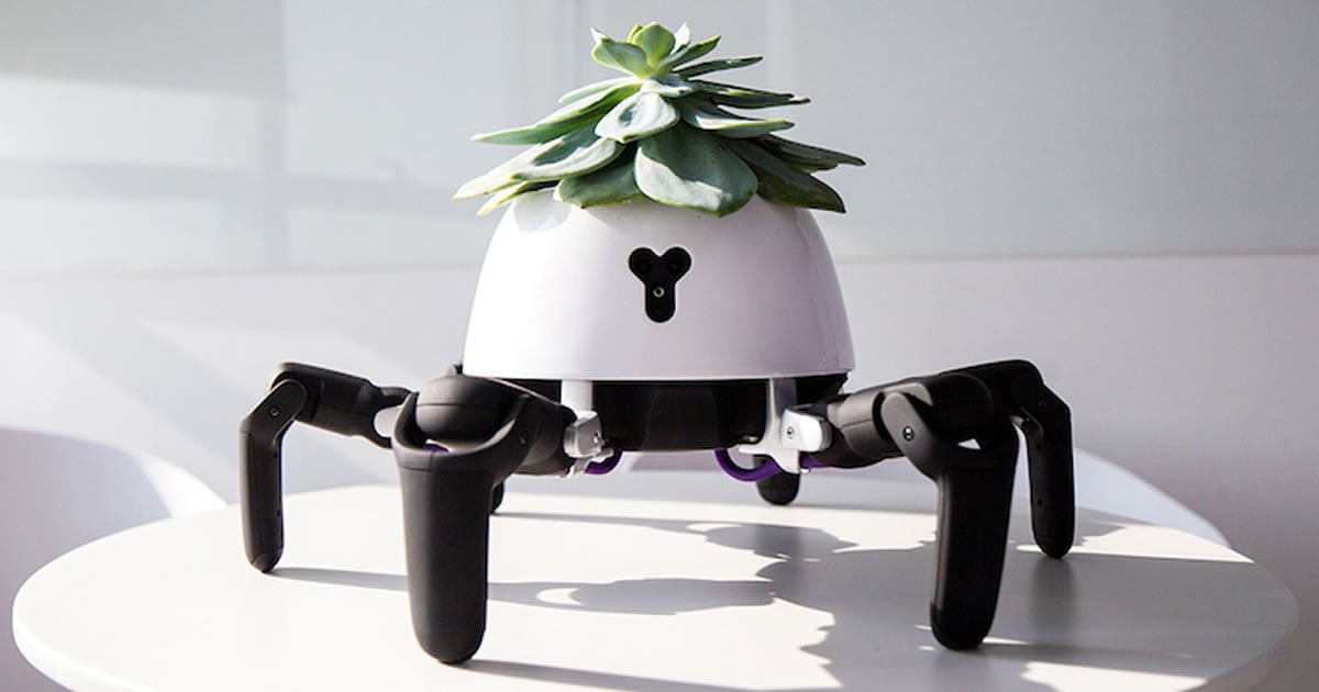 9GAG's tweet image. Robotic Smart Planter Chases the Sun to Keep Its Succulent in Sunlight
9gag.com/gag/ajEG2x1?re…
