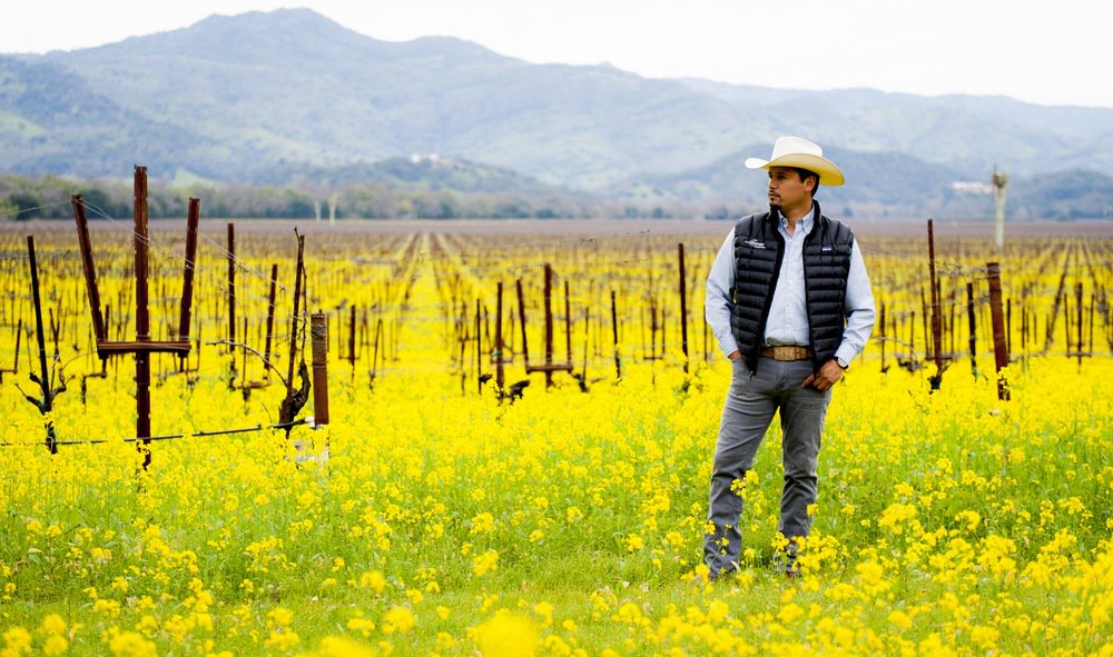 NSMAVA's tweet photo. Watch our “Meet Vintner” series — Llamas Family Wines! Celebrate the bounty of Latino #NapaValley at our irresistible #Harvest #Festival featuring vibrant cuisine, 15 #Latino winemakers, live music, and more — August 18th at Oxbow Commons! TICKETS: https://t.co/E6sF8cmJCe #DoNapa https://t.co/MCcnIWI4YE