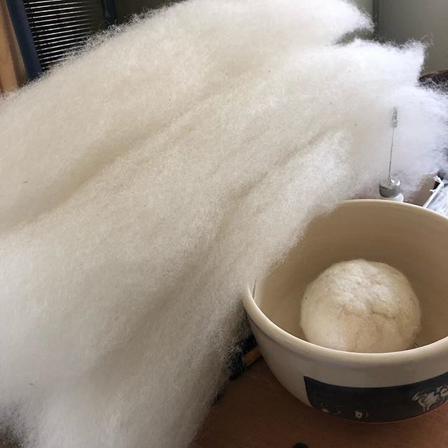 crazysheeplady's tweet photo. Three lovely combed then carded batts of PPPP for spinning this evening. 
#knowwhoyouarespinning #pppp #bordercheviot #wool #combingwool #cardingwool #handspinning #handspinnersofinstagram #tourdefleece #tourdefleece2018 #ravelry https://t.co/DnR4rlrXpQ https://t.co/5uknikTnJl
