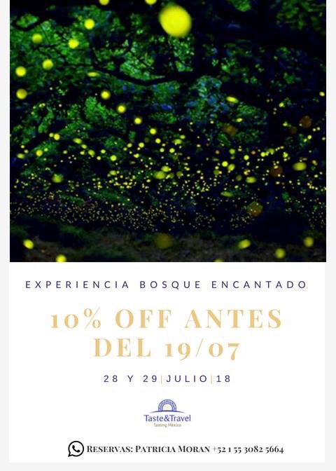TasteTravelTour's tweet image. Última fecha para sumarte a la Experiencia “Bosque Encantado” en el Santuario de las Luciérnagas, Tlaxcala. Incluye alojamiento en hacienda colonial y experiencia gastronómica sorpresa. Ideal para familias y empresas.
#ViajemosPorMéxico #travel #localtaste #socialsense @SECTUR_mx