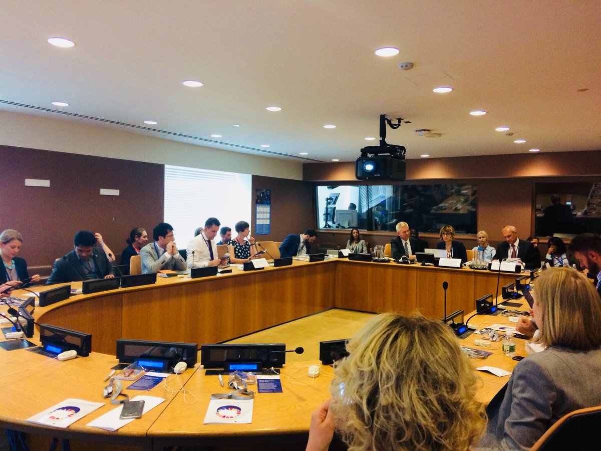 MRiTGOVPL's tweet photo. Organizowany przez Polskę side event podczas #HLPF poświęcony roli partnerstwa w realizacji celów #2030Agenda spotkał się z dużym zainteresowaniem delegatów. Więcej o polskim wkładzie w zrównoważony rozwój już jutro na: https://t.co/DVo2B5b0Wi  #UnitedNations https://t.co/ec0xeJnNtX