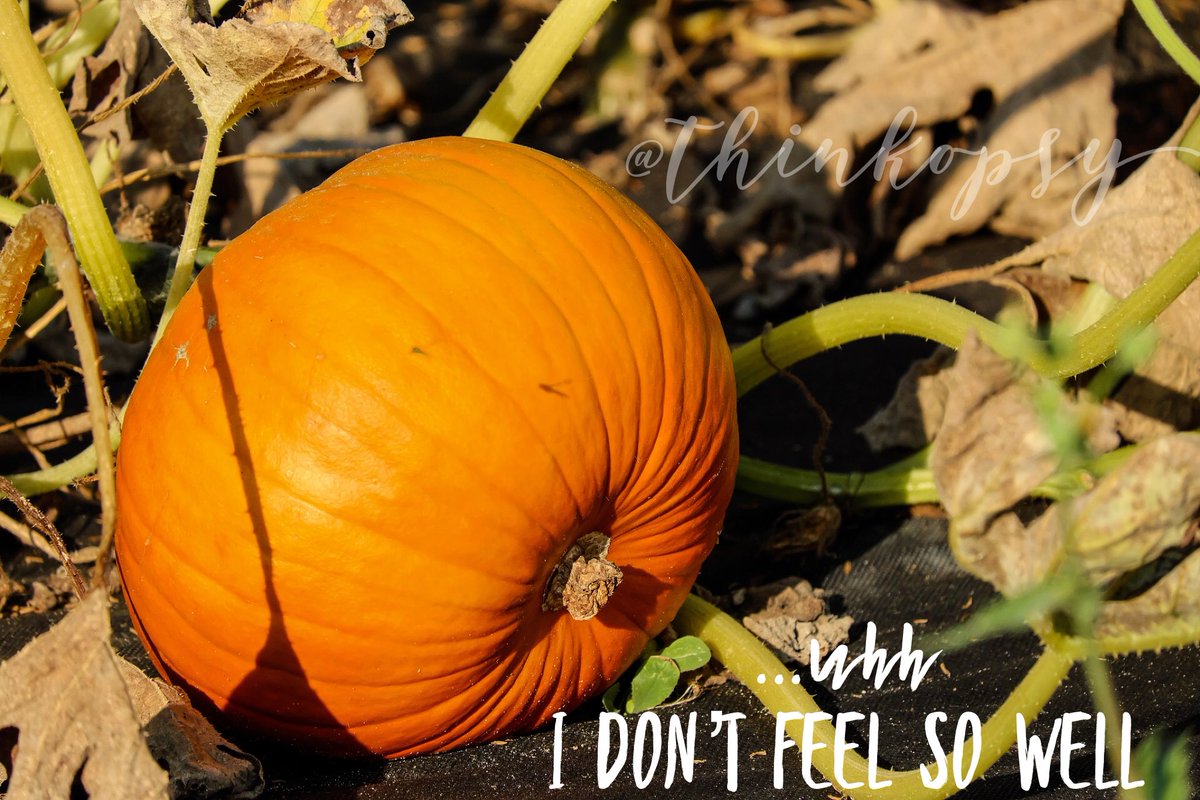 thinkopsy's tweet photo. #Pumpkins 🎃 have a voice too! 46 days till #Fall @LibbysPumpkin @TheRealPSL https://t.co/9mg0dVjz2z