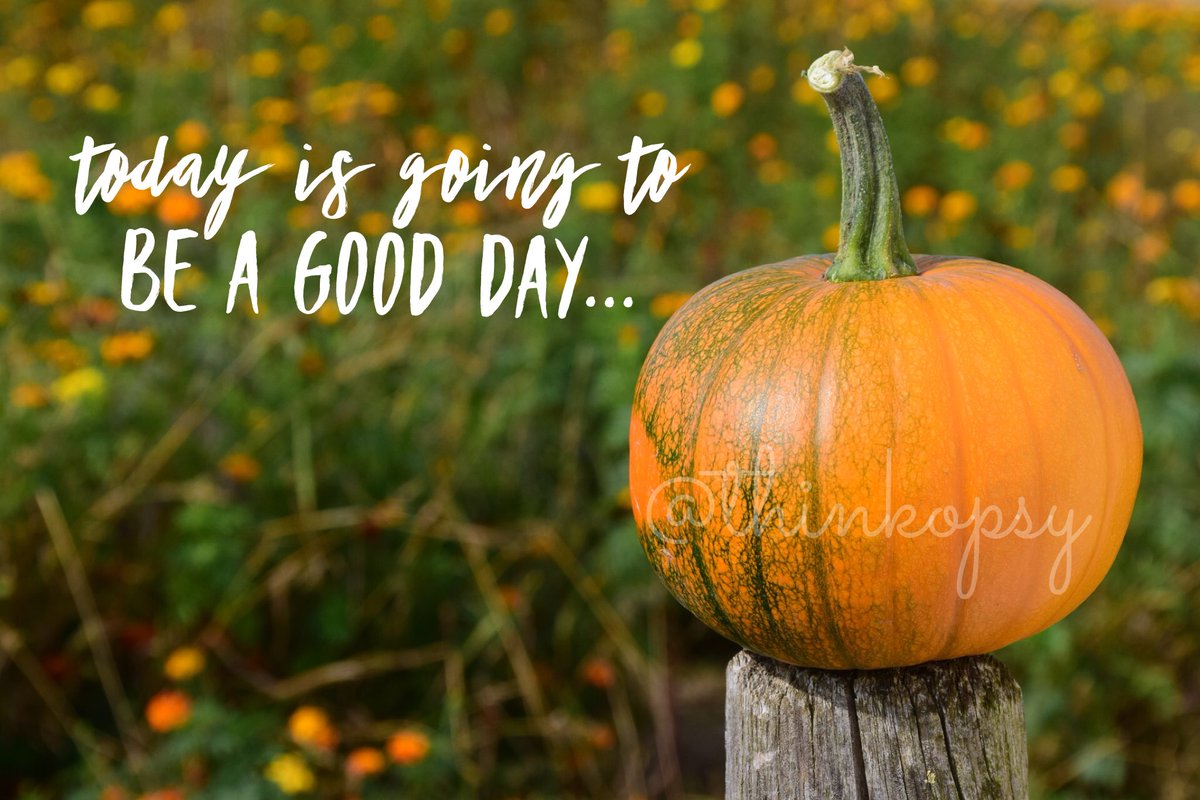 thinkopsy's tweet photo. #Pumpkins 🎃 have a voice too! 46 days till #Fall @LibbysPumpkin @TheRealPSL https://t.co/9mg0dVjz2z