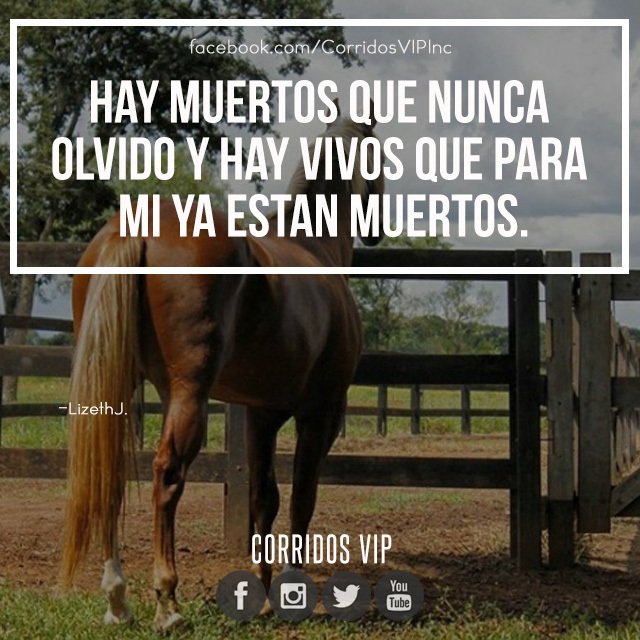 CorridosVIP's tweet photo. 😕
. . .

#corridosvip #teamcorridosvip #corridos #borrachos #tkt #fiesta #peda #ranchero #carrerasdecaballos #cuaco #mexico #regional #sinaloa #sonora #amigos #corridosybanda #corridosgram #corridoschingones #norteño #mexican #mexicanmusic #twitterco… https://t.co/QyTFv34GMU https://t.co/817aTMnPae
