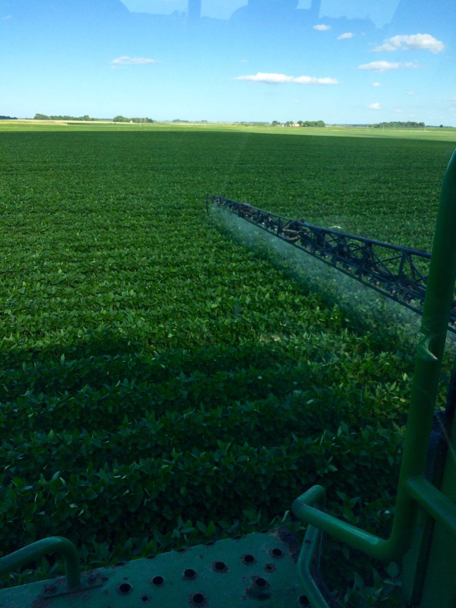 dancfarmer's tweet photo. ⁦@ChannelMinn⁩ great looking #2218R2x's getting an application of #fungicide #grommerschseeds https://t.co/WebYmEvs9x
