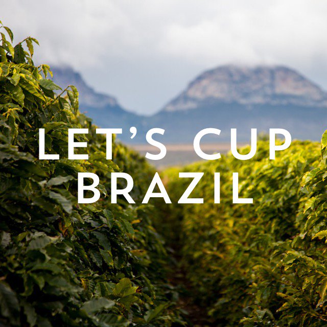Exceptional coffees from Brazil are not always celebrated enough. For that reason we are super excited for our next Let's Cup event, where we will showcase the best Brazil has to offer, and the amazing work being done by our roasting partners.
