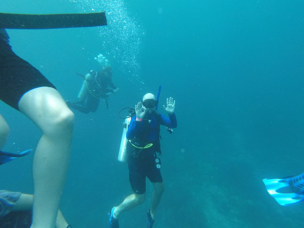 QMGSBiology's tweet photo. Some photos from Will diving today. https://t.co/gv8zlJY8v7