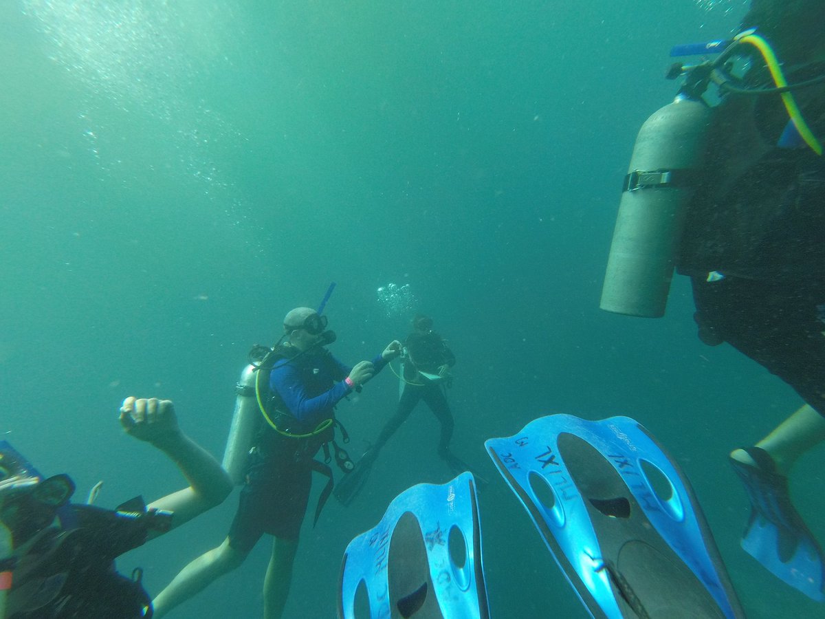 QMGSBiology's tweet photo. Some photos from Will diving today. https://t.co/gv8zlJY8v7