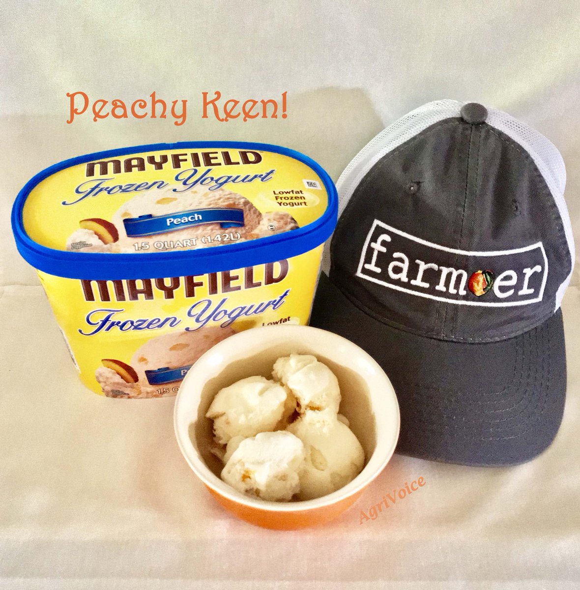foodsheds's tweet photo. Will Peach Frozen Yogurt from @MayfieldScoop do to 'cap off' #NationalPeachIceCreamDay ? Sure will - betting the peaches may be from GA or SC, too! Milk from SE Neighbors, Processed by SE neighbors! #TnMilkMatters! #SEEconomyMatters! #FarmNeighbors #GAPeaches #SCPeaches https://t.co/u0rDCbjTfp