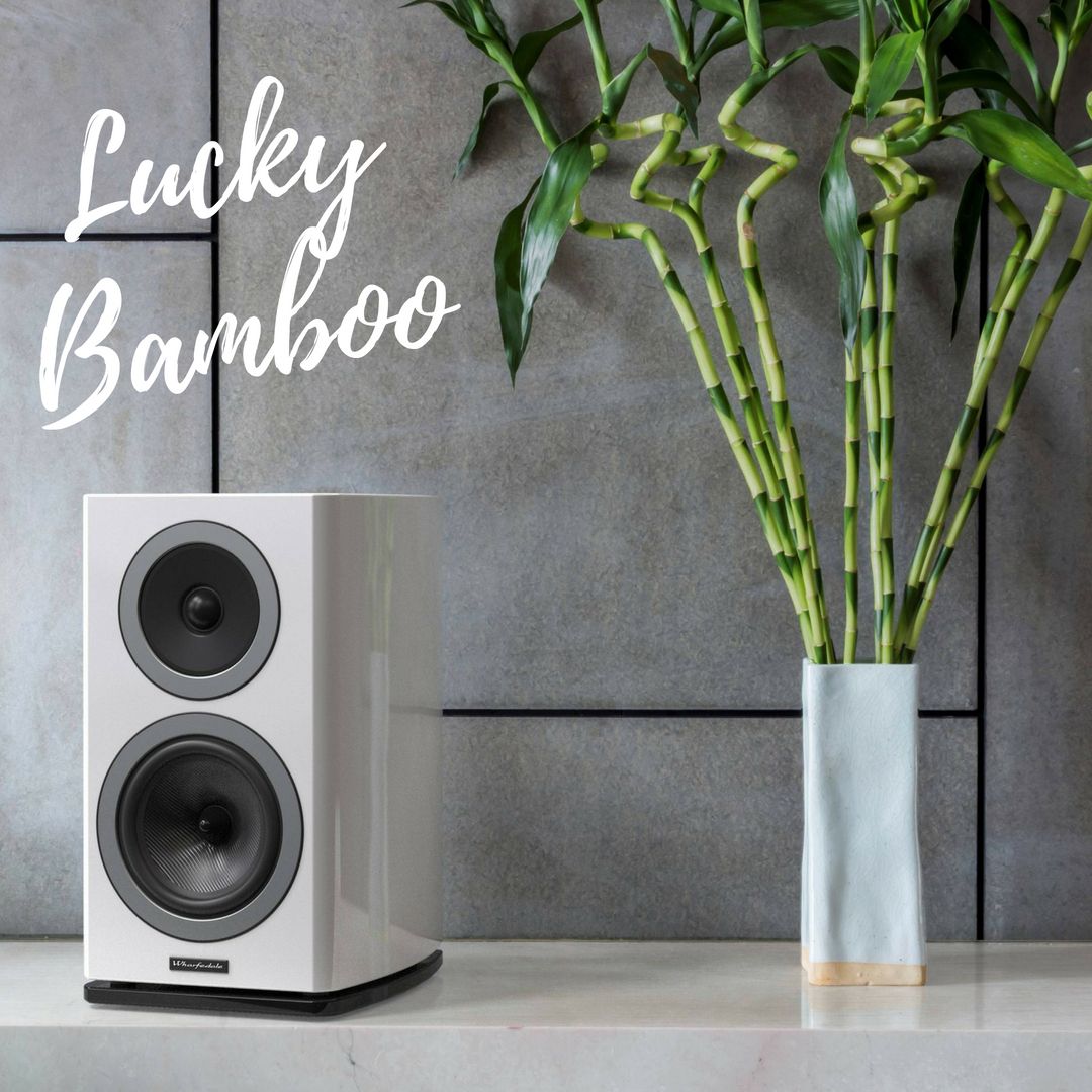 9GreenBox's tweet photo. Find out what we love about the #luckybamboo for #fengshui. Start increasing the positive energy in your home now! https://t.co/hKS9P1ABvI https://t.co/XHnIcX8IDv