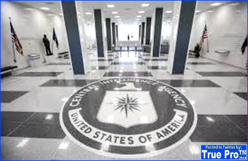 TrulyProgressiv's tweet photo. #Strzok comes from a #LongLine of #Traitors!
#FBICoverup #FBICollusion #CIACoverup #CIACollusion #DNCCoverup #DNCCollusion #MSMCoverup #MSMCollusion
#MSMExit #2PartyEXIT https://t.co/Mdb4YLJxq9