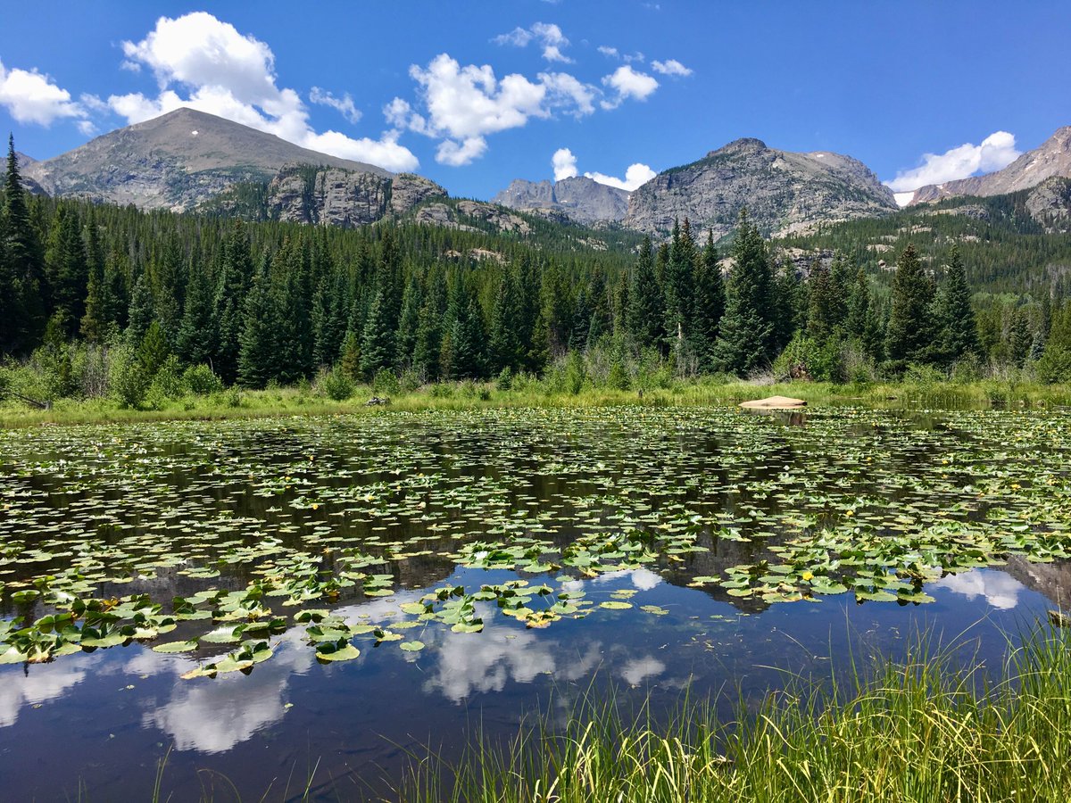 Hello, Rocky Mountain National Park! We loved our first hike of the trip to Alberta Falls and stopping at this lily pond along the way. #rockymountains #estespark #colorado #nationalparksrock