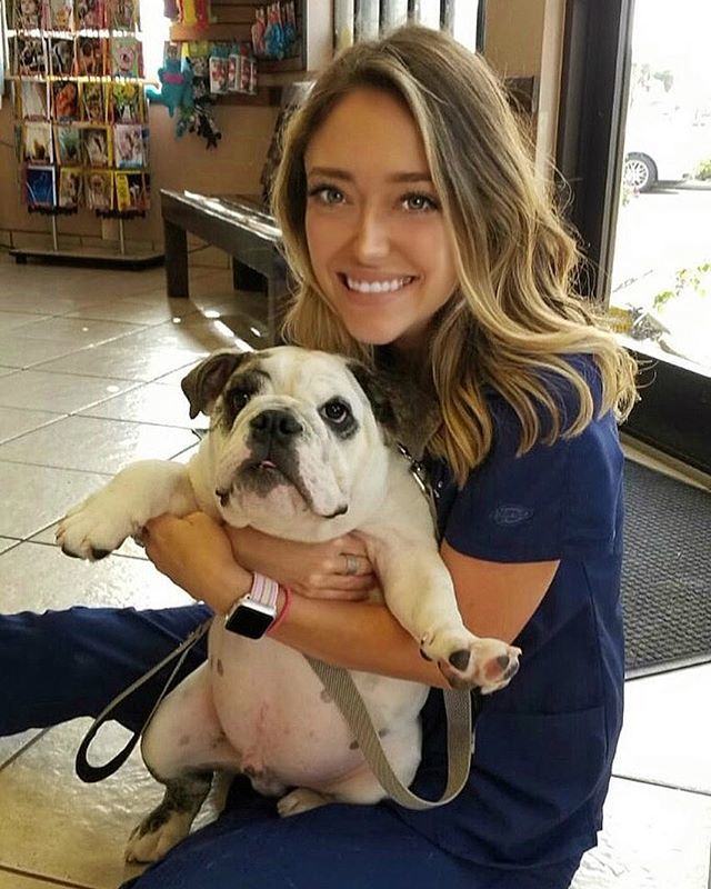 clawsandpawsvet's tweet photo. This chunky monkey is Brizzo. He was so good during his appointment that his mama bought him some yummy @k9granolafactory cookies! 🍪 He is a little cuddle bug & loves to give kisses. •
•
•
#puppyvaccines #englishbulldogpuppy #chunkamunk #rollsfordays… https://t.co/sUoGxc9fGc https://t.co/Tg9uR6hhHm