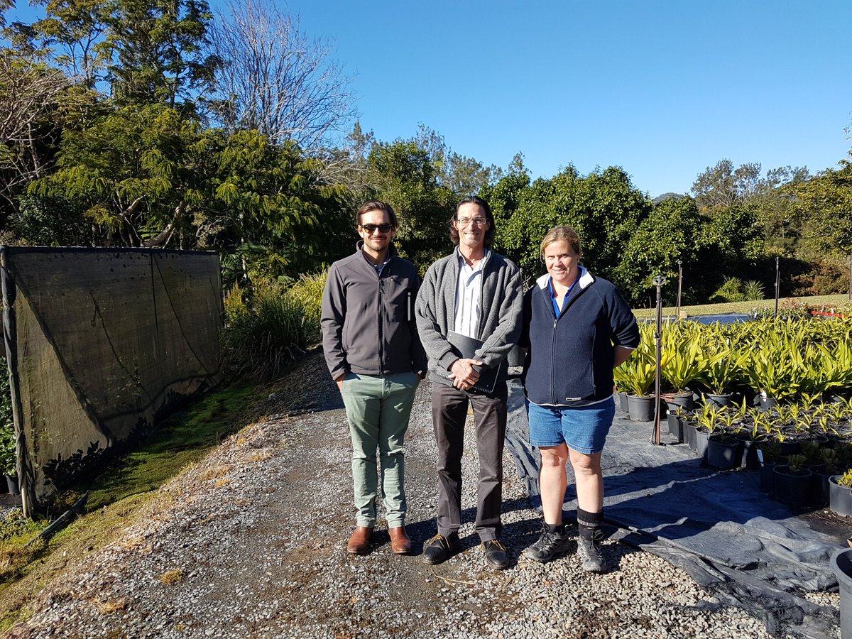 Very exciting! Day 1 of our spatial data mapping pilot program - NGIQ working with Todd Morschel of Land Solution Australia, Peter James, COHGA and Cath Williams, Mt Nathan Nursery. Mapping data points and flood levels for nurseries impacted by Cyclone Debbie.