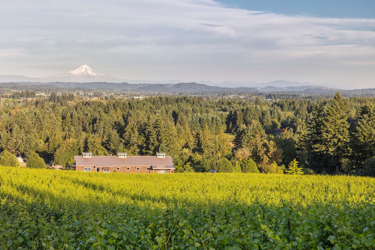 Views like this never get old… #HawksViewWinery