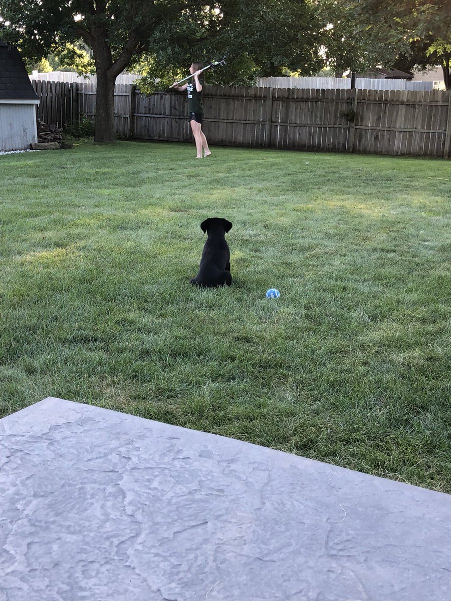 LazyVanek's tweet image. #enthralled