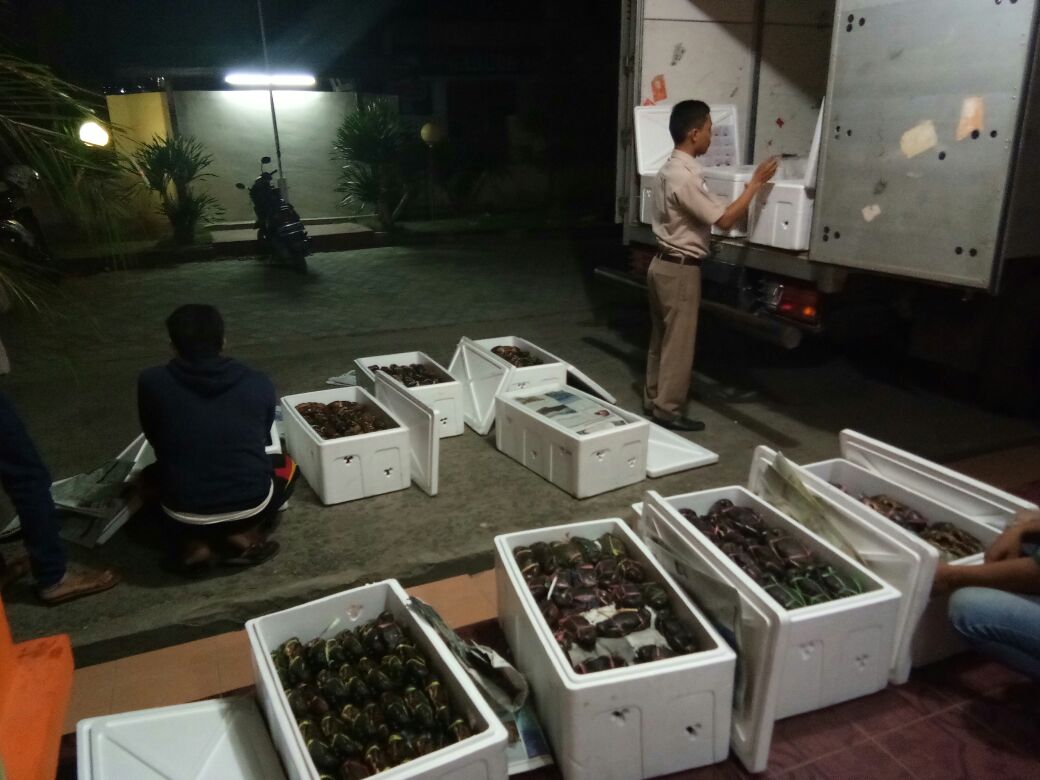 BKIPMPalu's tweet photo. Cek ulang kesesuaian pengiriman kepiting bakau 12 box (600 ekor) tujuan @BKIPMJakartaI  #OneHealthKIPM  #SemakinSolid https://t.co/HFrXVWb8Jb