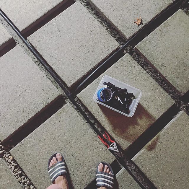 sw70th's tweet photo. Figured I’d run some low pressure sprinkler hoses before filling the spaces between pavers back in with rock.
💦
#sw70th #modern #modernhome #modernhouse #mcm #midcenturymodern #midmod #moderndesign #modernlandscape #patio #pavers #sprinklers #adidas … https://t.co/Px02xJdzLb https://t.co/MRPxzajiiM