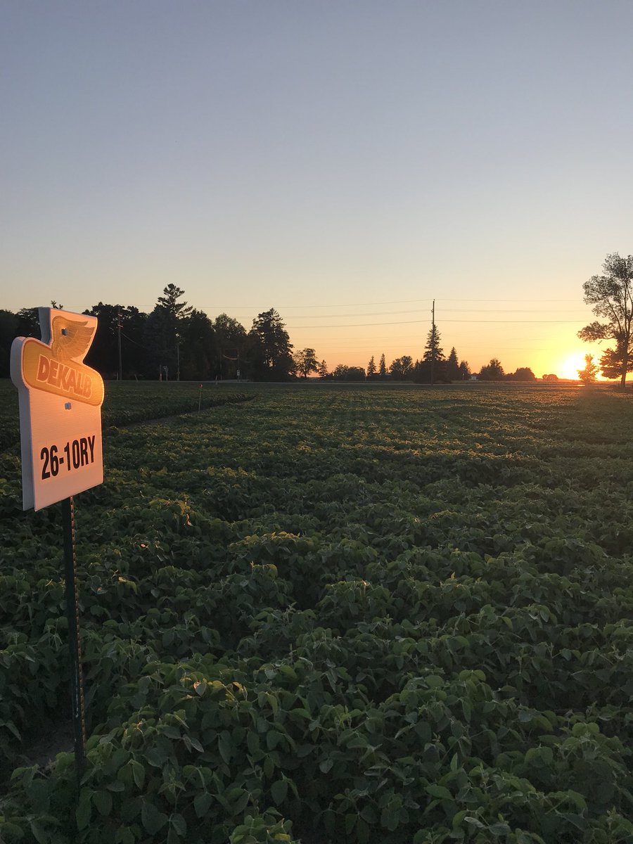 FreitagD's tweet photo. @DekalbWoody sun setting on 26-10RY’s. #hard2beatDEKALB https://t.co/BSoPZ3VEyK @DEKALB_Canada https://t.co/Hlf1VzGsg6