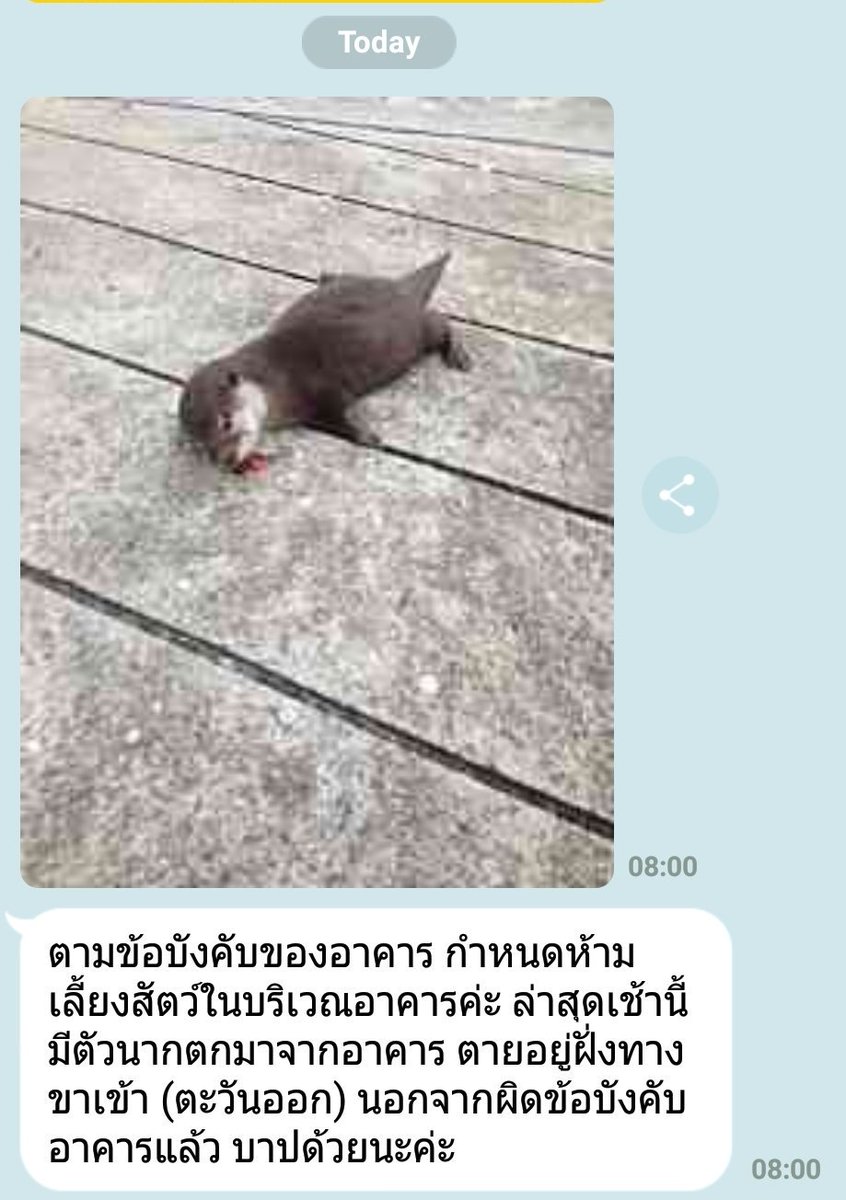 ถึงไม่ค่อยมีโมเม้นต์ให้เห็นแต่ของจริงนะทุกคน tweet media