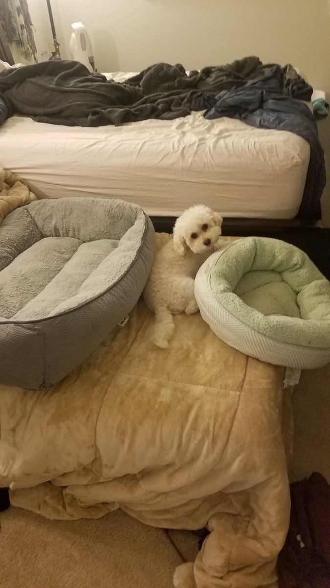 ShMcD82's tweet photo. Pick a bed lol https://t.co/VIcUhkT38g