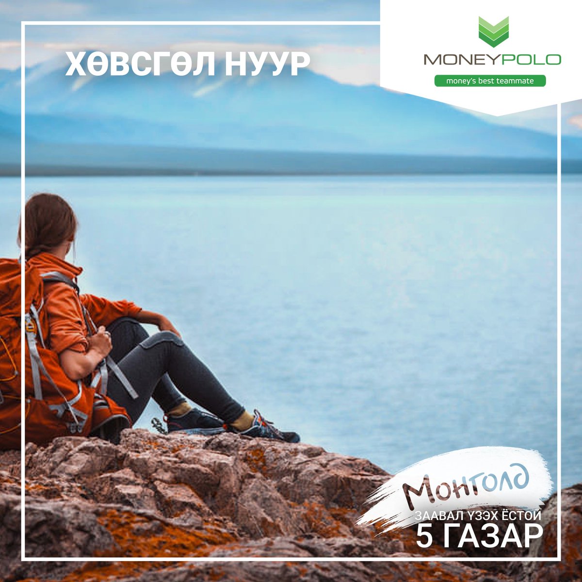 MoneyPolo Mongolia tweet media