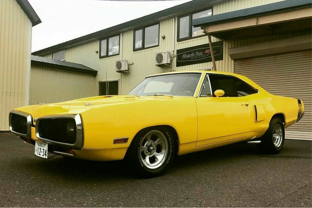 _JRWitt's tweet image. 🌻 #BeeGood 💯 #BeeTrue
 ✒@AnKarpo 🎗
  ✒@jwok_714 ✨
   ✒@partskeeper 🏆
    ✒@BonhamChrysler2 ☀
     ✒@ChallengerJoe 🎊
🔝 ✒@FordMuscleJP ⭐