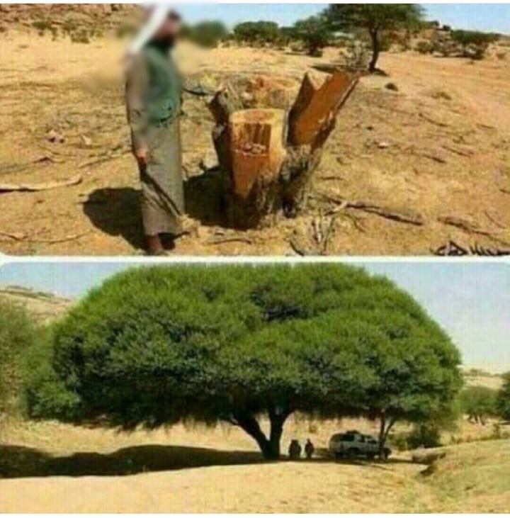  .... ....