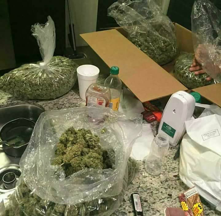CannaPlug's tweet photo. Current situation 💪 https://t.co/Wwkpo5LMSl