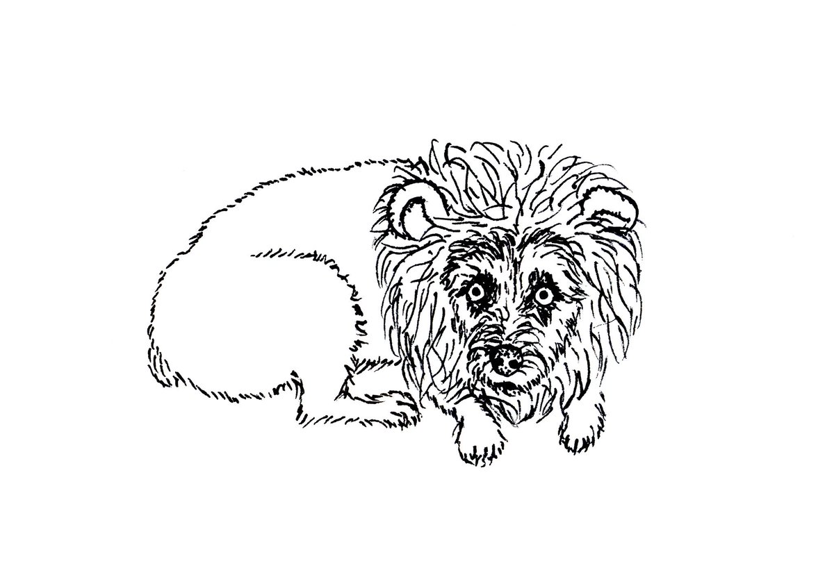 Tobillo as a Lion