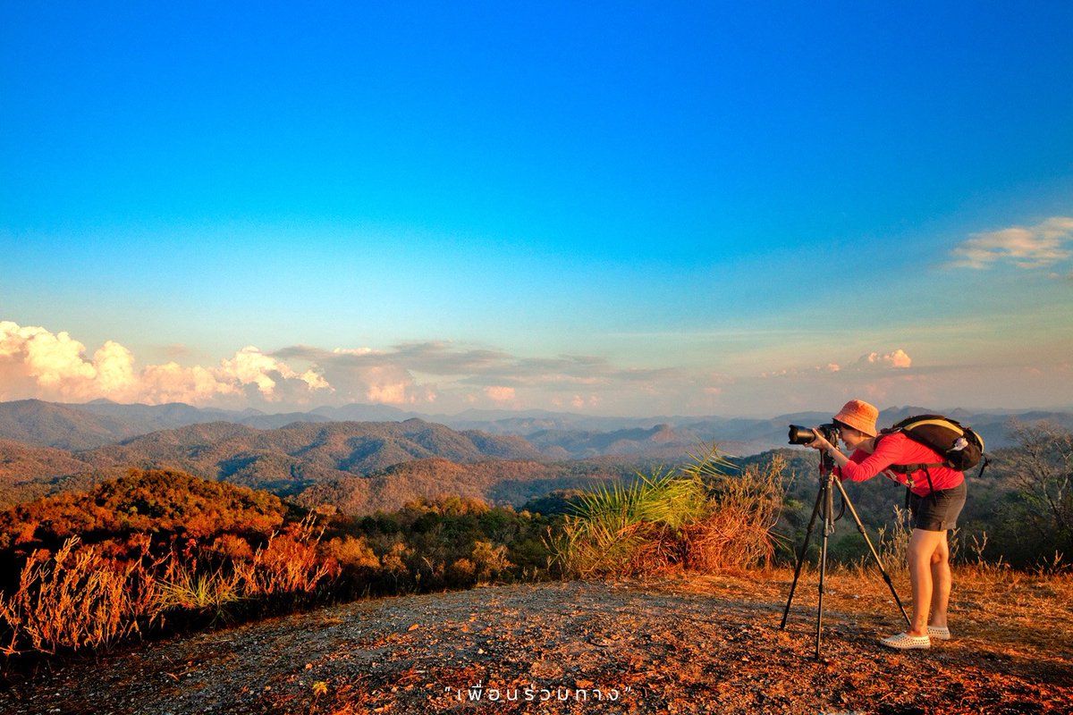 1672Travelbuddy's tweet photo. "ดอยหัวหมด" ได้ยินชื่อแล้วก็ เอ๊ะ! ดอยอะไรนะ? ทำไมหัวต้องหมดด้วย? ไฮไลท์ของที่นี่คือการชมพระอาทิตย์ขึ้น พระอาทิตย์ตกและแอดขอบอกเลยว่าบนดอยหัวหมดจะสวยแอดวานซ์กว่าเดิมในช่วงฤดูฝนที่เต็มไปด้วยดอกเทียนปีกผีเสื้อที่ออกดอกบานสะพรั่ง 
พิกัด : https://t.co/uGNNLwRhL9
#ตาก #ดอยหัวหมด https://t.co/oXItN108rY
