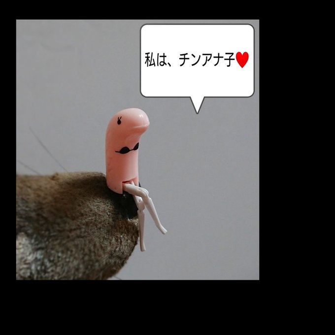 チンアナ子のtwitterイラスト検索結果 チンアナ子のtwitterイラスト検索結果