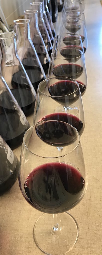 Reviewing the 2018 vintage today. Excellent quality across the board with standouts in Grenache, Cabernet and Syrah.. sublime varietal depth and layered tannin is always a high quality benchmark