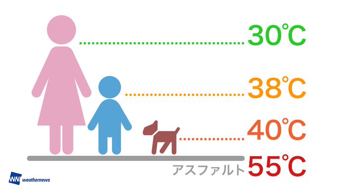 気温30 でアスファルトは55 犬の体感は40 に 夏のお散歩の工夫と 暑さと熱さ 対策グッズ モフマガ By ペットホームウェブ