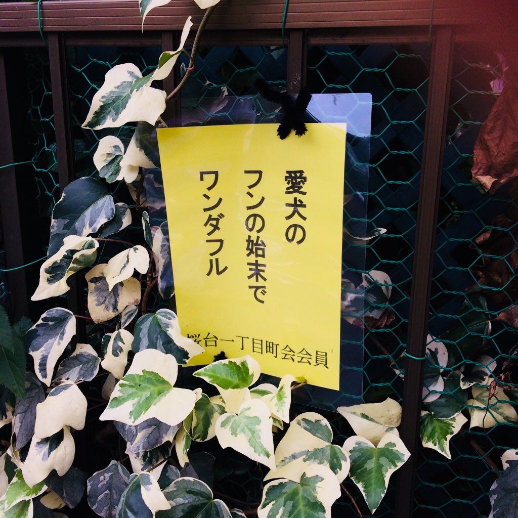 センス溢れてる 