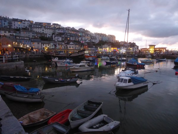 Torbay Social Group tweet media