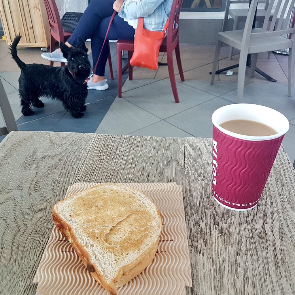 ToursByTrain's tweet photo. Tea, the perfect start to a day out by train. I think someone else is eyeing up my bacon butty though! ^PK
#MidweekMidlander https://t.co/vvrwdLCHuW