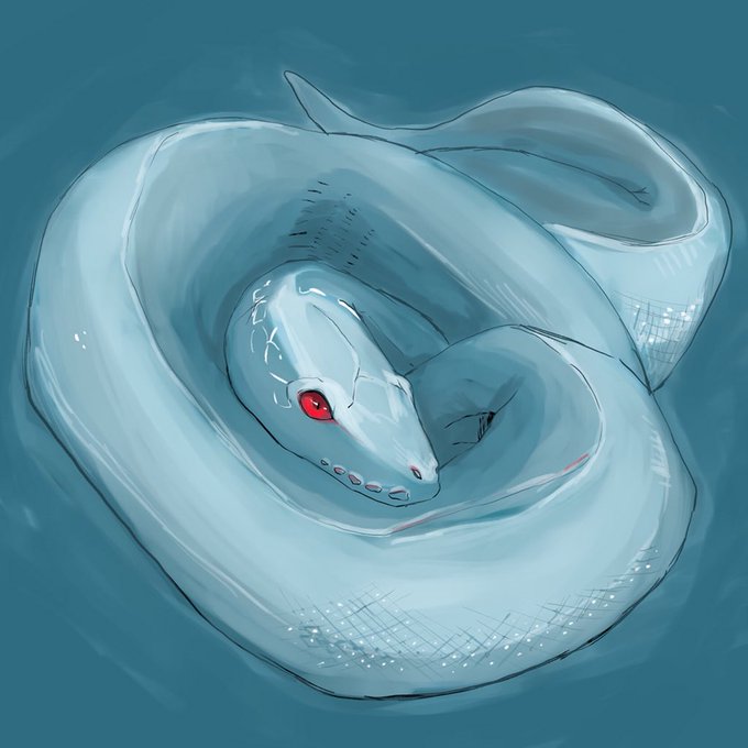 「シンプルな背景 白蛇」のTwitter画像/イラスト(新着)｜4ページ目