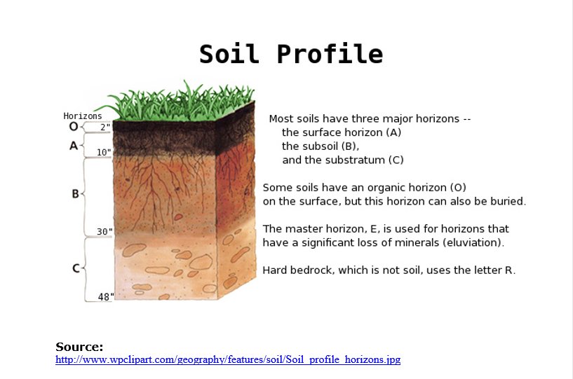 In crop production, knowing the capacity of your soil to sustain crop growth is very important. Soil test is one way to assess the status of your soil and the right time to do so in NOW!#soilhealth