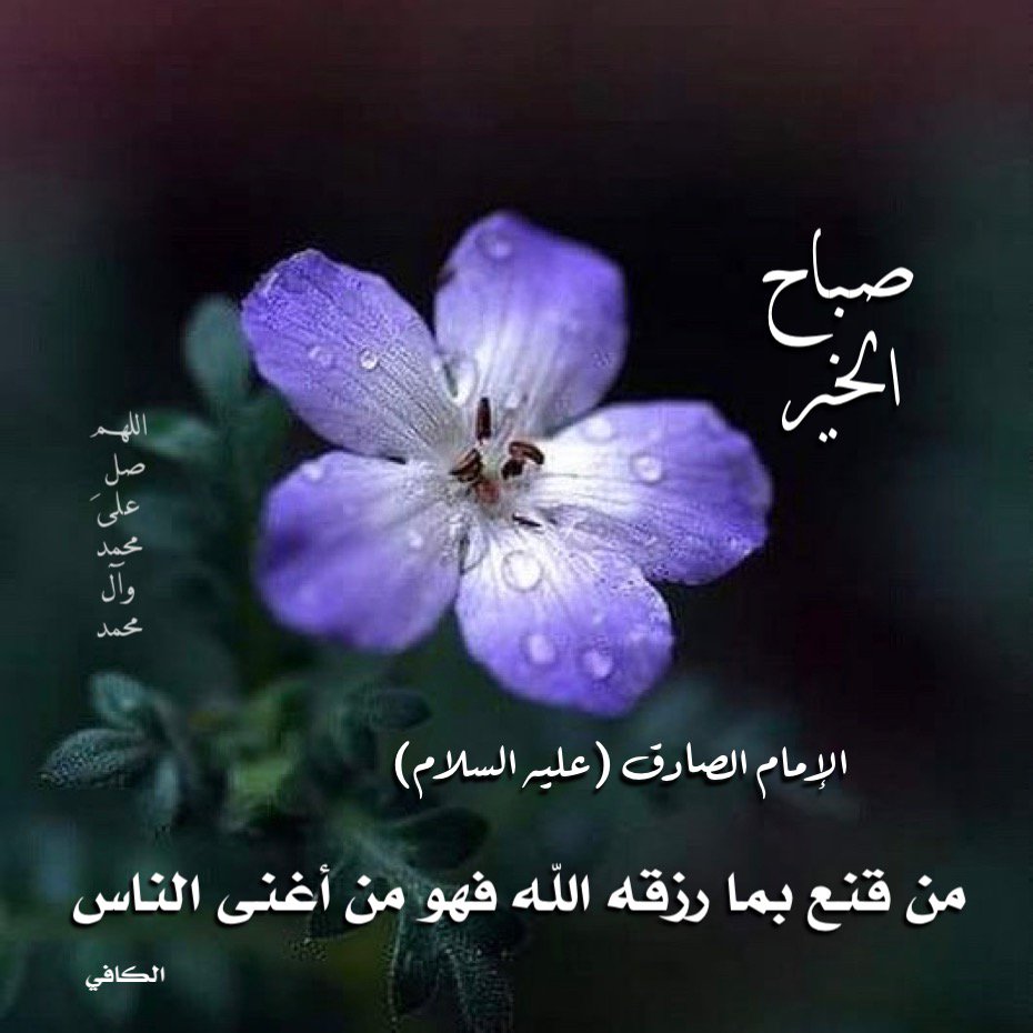 DAVOOD313MUSAVI's tweet photo. تشتهي العين فيكم منظراحسنا كأنكم لظلام الليل أقمارا 
 لاأبعدالله قلبي عن مودتكم يامن لكم في صميم القلب مقدارا
آللهم سق ألى أحبتي من رحمتك مايغنيهم وانزل عليهم من بركاتك مايكفيهم
أدام الله عليكم الصحةوالعافية وراحةالبال 
💐أسعدالله صباحكم💐
💐وجميع أوقاتكم بكل الخير💐
#صباح_الخير https://t.co/GbBQ5YyuP8