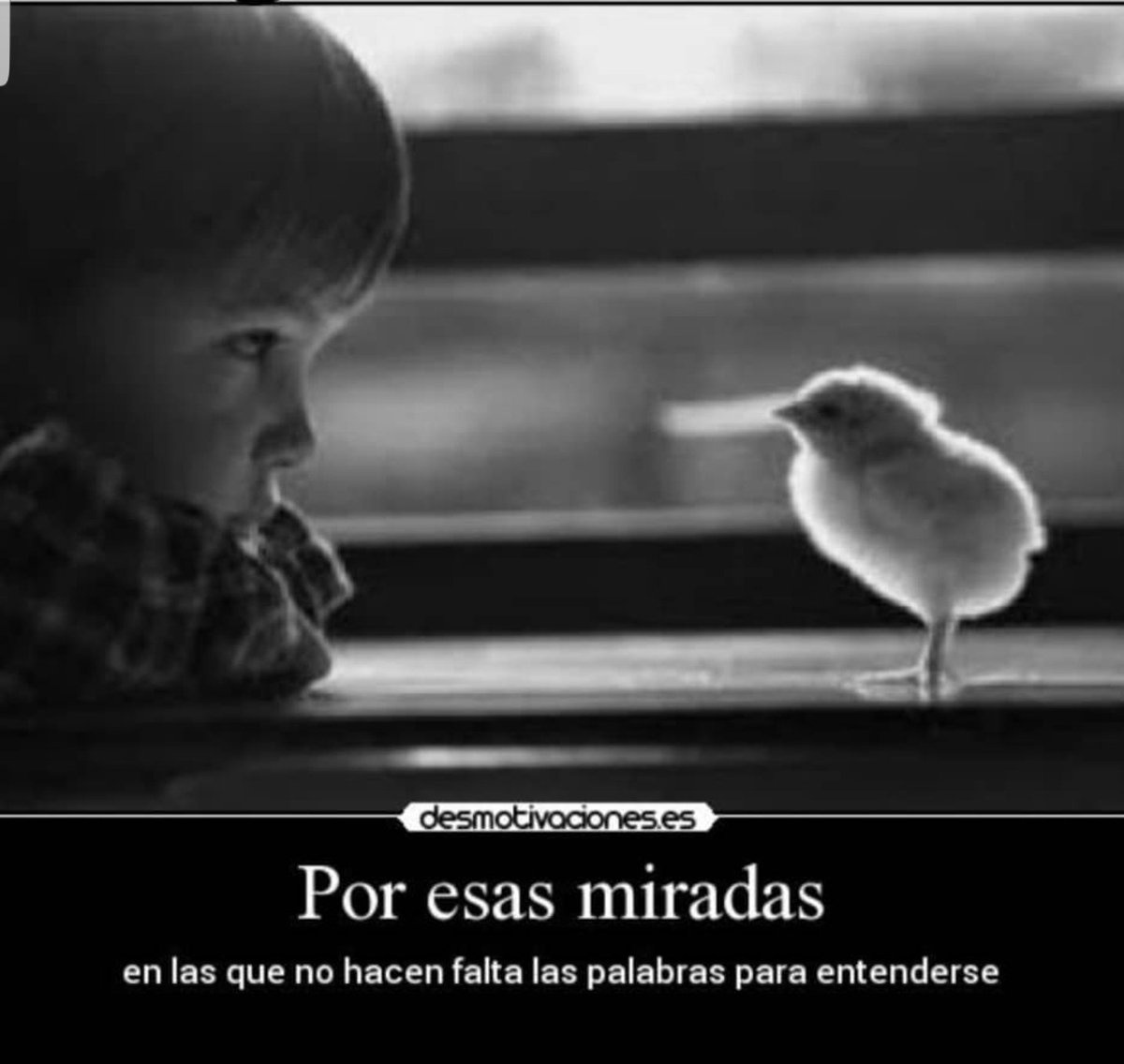 pepecanyeta's tweet photo. Bona nit ¡¡ https://t.co/GYJRgaxVoL