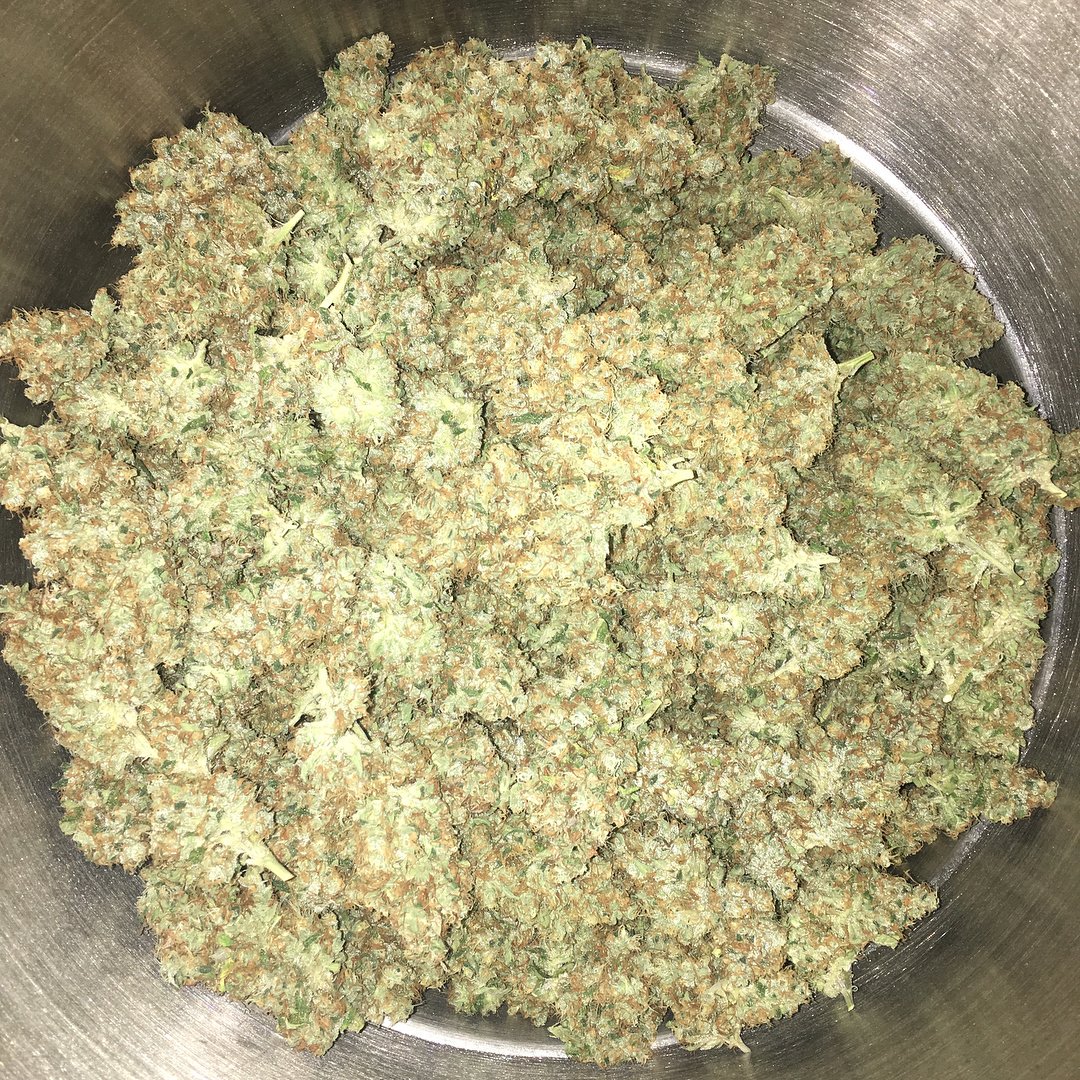 CannaPlug's tweet photo. Jet Fuel OG , letting off for 1k a pound #CaliPrices #weedstagram #marijuananews dm or call me https://t.co/srWxwBahoZ