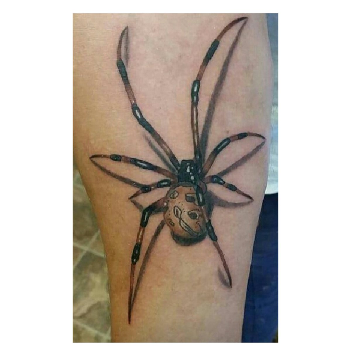 18 Spider Tattoo Art Design Gallery